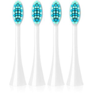Concept Perfect Smile Sensitive Clean ZK0072 tartalék kefék szónikus fogkefékhez White ZK7010 4 db kép