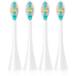 Concept Perfect Smile 3D Daily Clean ZK0070 tartalék kefék szónikus fogkefékhez White ZK7010 4 db kép