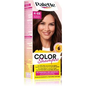 Schwarzkopf Palette Color Shampoo tonizáló sampon árnyalat 4-68 Red Brown 50 ml kép