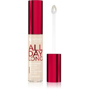 AA Wings of Color All Day Long Long Lasting Concealer folyékony korrektor árnyalat 500 Ivory 6.2 g kép
