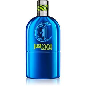 Roberto Cavalli Just Cavalli Wild Blue Eau de Toilette uraknak 90 ml kép