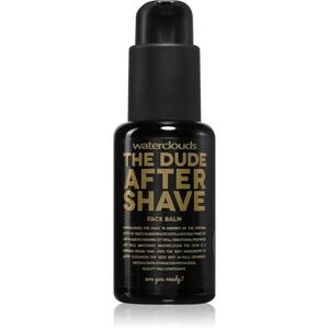 Waterclouds The Dude After Shave Balm borotválkozás utáni balzsam 50 ml kép