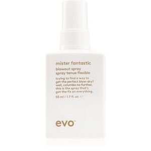 EVO Mister Fantastic Blowout Spray védőspray a haj gyors kifújásához 50 ml kép
