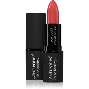 Antipodes Moisture-Boost Natural Lipstick tápláló rúzs árnyalat Dusky Sound Pink 4 g kép