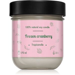 Tropicandle Frozen Cranberry illatgyertya 170 ml kép