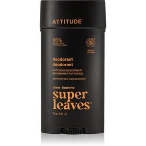 Attitude Super Leaves Men Deodorant dezodor uraknak 75 g kép