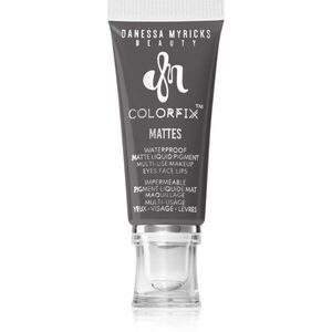Danessa Myricks Beauty Colorfix Mattes multifunkcionális smink a szemre, az ajkakra és az arcra árnyalat Quiet Storm 10 ml kép