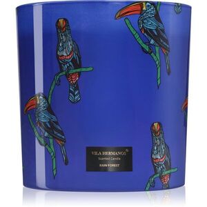 Vila Hermanos Jungletopia Rain Forest illatgyertya 1450 g kép
