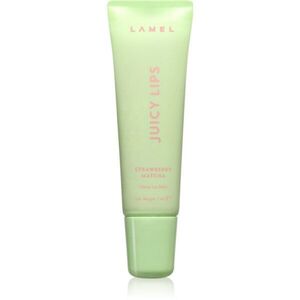 LAMEL Juicy Lips fényesítő ajakbalzsam árnyalat 02 Strawberry Matcha 7 ml kép