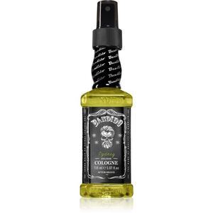 BANDIDO Cologne Sydney borotválkozás utáni arcvíz 150 ml kép