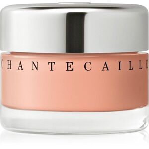 Chantecaille Future Skin Gel Foundation hidratáló alapozó élénkítő hatással Almond 4C 30 g kép