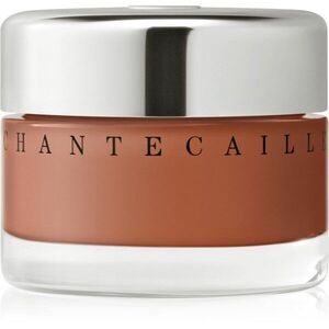 Chantecaille Future Skin Gel Foundation hidratáló alapozó élénkítő hatással Tamarind 7C 30 g kép