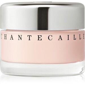 Chantecaille Future Skin Gel Foundation hidratáló alapozó élénkítő hatással Aura 30 g kép