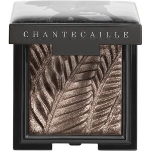 Chantecaille Luminescent Eye Shades gyöngyházas szemhéjfestékek Elephant 2.5 g kép