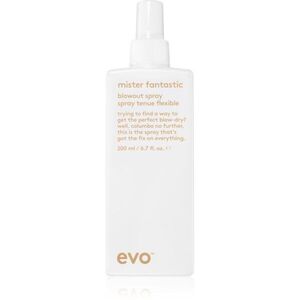 EVO Mister Fantastic Blowout Spray védőspray a haj gyors kifújásához 200 ml kép