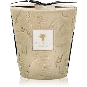 Baobab Collection Paz Paloma illatgyertya 1000 g kép