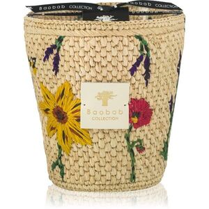 Baobab Collection Vony Ahitra illatgyertya 1000 g kép