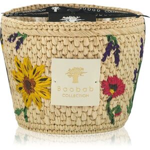 Baobab Collection Vony Ahitra illatgyertya 500 g kép