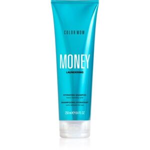 Color WOW Money Laundering Hydrating Shampoo hidratáló sampon 250 ml kép