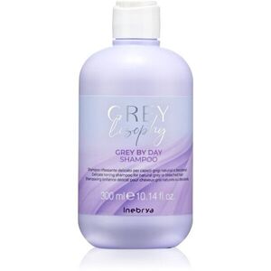 Inebrya Greylosophy Grey By Day Shampoo tonizáló sampon ősz hajra 300 ml kép