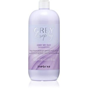 Inebrya Greylosophy Grey By Day Shampoo tonizáló sampon ősz hajra 1000 ml kép