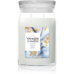 Yankee Candle Silver Birch illatgyertya 567 g kép