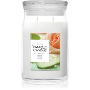 Yankee Candle Blooming Love illatgyertya 567 g kép