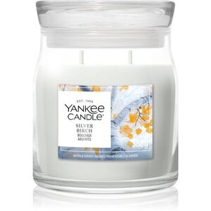 Yankee Candle Silver Birch illatgyertya 368 g kép