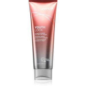 Joico YouthLock Conditioner kondicionáló száraz és törékeny hajra 250 ml kép