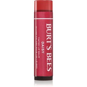 Burt’s Bees Tinted Lip Balm ajakbalzsam árnyalat Daisy 4.25 g kép