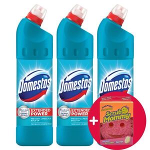 Domestos Extended Power Atlantic Fresh fertőtlenítő hatású folyék... kép