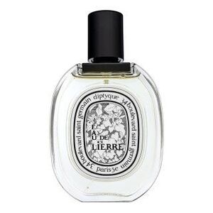 Diptyque Eau de Lierre Eau de Toilette nőknek 100 ml kép
