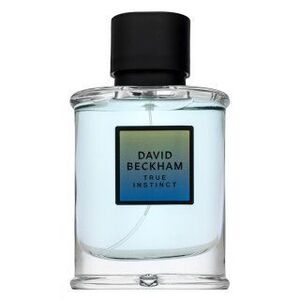 David Beckham True Instinct Eau de Parfum férfiaknak 75 ml kép