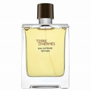 Hermes Terre D'Hermes Eau Intense Vetiver Eau de Parfum férfiaknak 100 ml kép