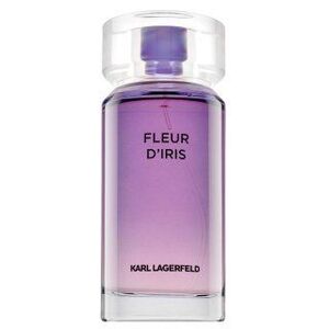 Lagerfeld Fleur d'Iris Eau de Parfum nőknek 100 ml kép