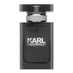 Lagerfeld Karl Lagerfeld for Him Eau de Toilette férfiaknak 50 ml kép