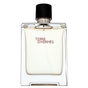 Hermes Terre D'Hermes Eau de Toilette férfiaknak 100 ml kép
