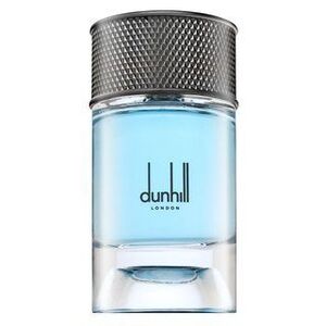 Dunhill Signature Collection Nordic Fougere Eau de Parfum férfiaknak 100 ml kép