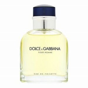 Dolce & Gabbana Pour Homme Eau de Toilette férfiaknak 75 ml kép