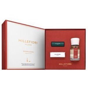 Millefiori Milano Fragrance Diffuser and Car Air Freshener Zenzero Lucente 100 ml kép
