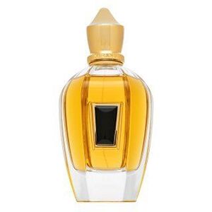 Xerjoff 17/17 Homme tiszta parfüm férfiaknak 100 ml kép