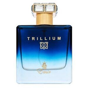 Emir Trillium Eau de Parfum férfiaknak 100 ml kép