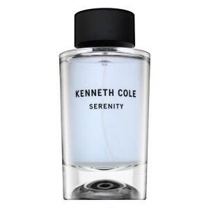Kenneth Cole Serenity Eau de Toilette férfiaknak 100 ml kép