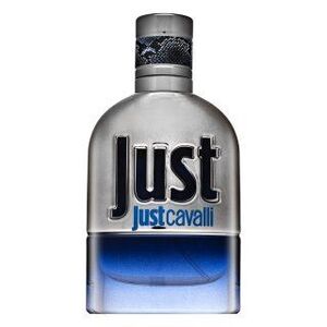 Roberto Cavalli Just Cavalli Him 2013 Eau de Toilette férfiaknak 30 ml kép