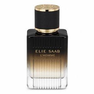 Elie Saab L´Homme Intense Eau de Parfum férfiaknak 50 ml kép