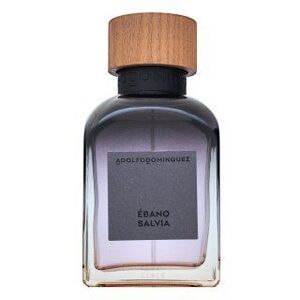 Adolfo Dominguez Agua Fresca Ébano Salvia Eau de Parfum férfiaknak 120 ml kép