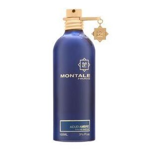Montale Aoud Ambre Eau de Parfum uniszex 100 ml kép