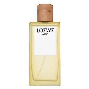 Loewe Agua de Loewe Eau de Toilette uniszex 100 ml kép