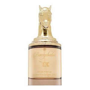 Armaf Bucephalus No. IX Eau de Parfum férfiaknak 100 ml kép