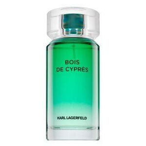 Lagerfeld Bois de Cyprès Eau de Toilette férfiaknak 100 ml kép